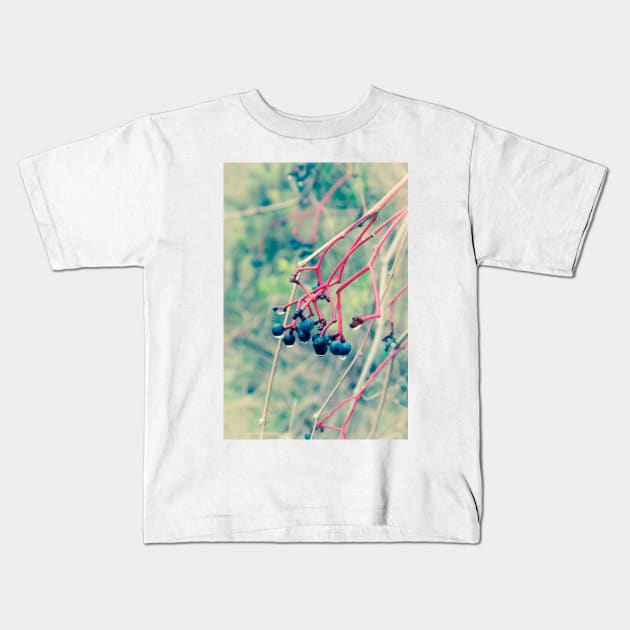 Dogwood Berries 2 Kids T-Shirt by Robert Alsop